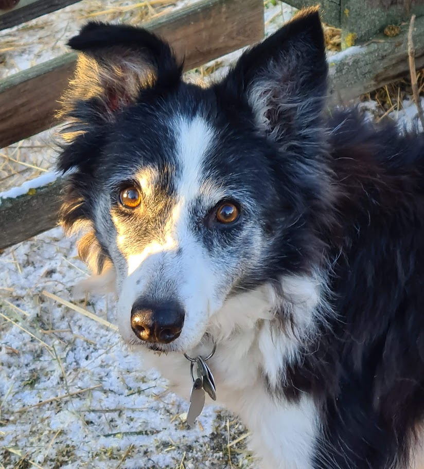 sunny3